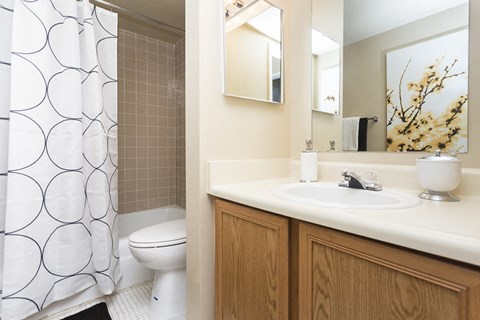 a bathroom with a sink and a toilet and a shower