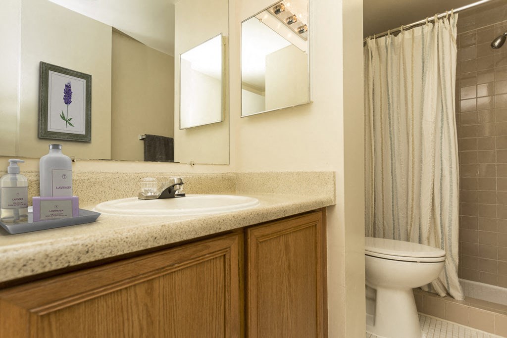 a bathroom with a sink and a toilet