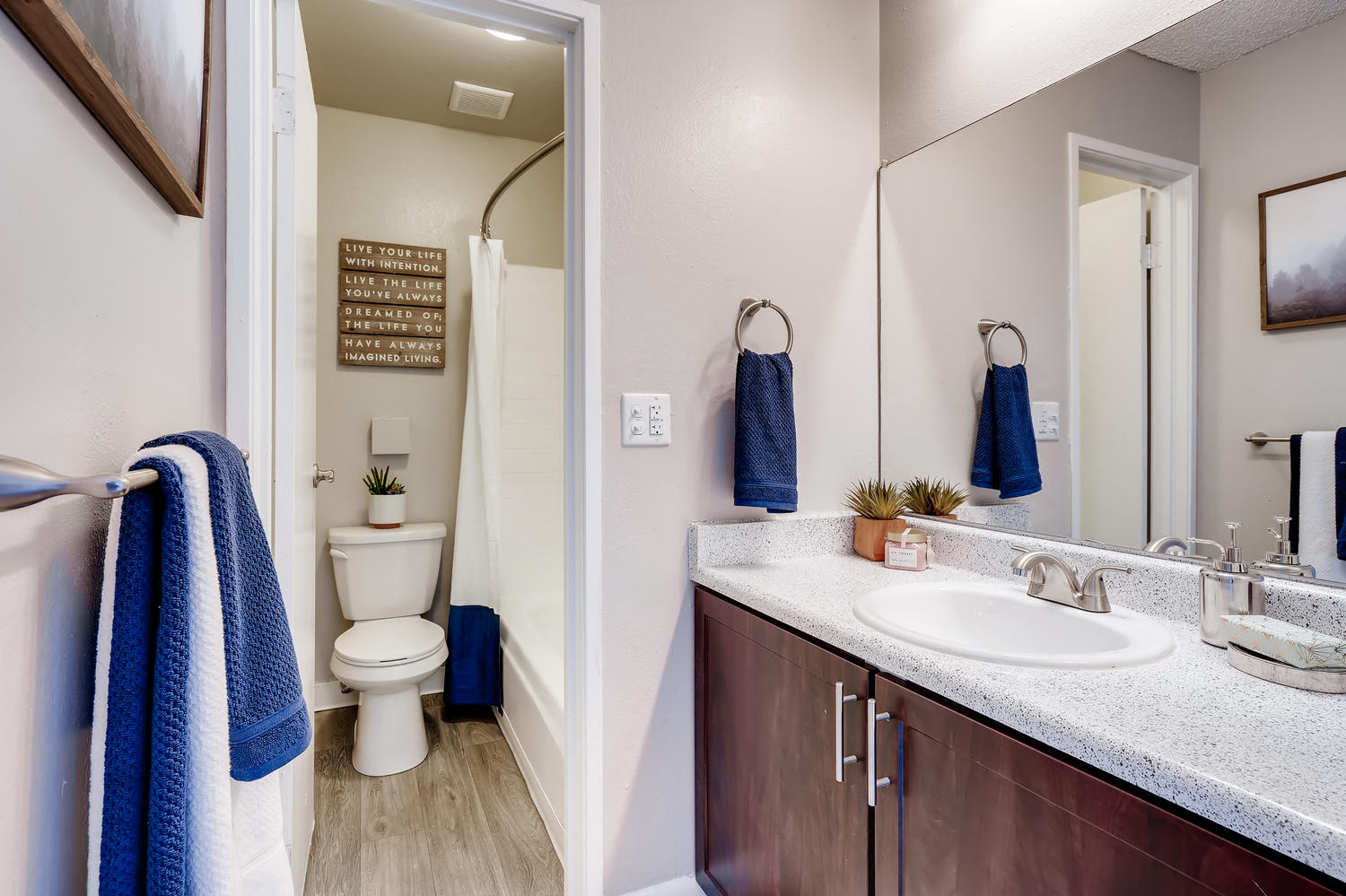 Mountain Vista | Lakewood, CO Apartments | Bathroom