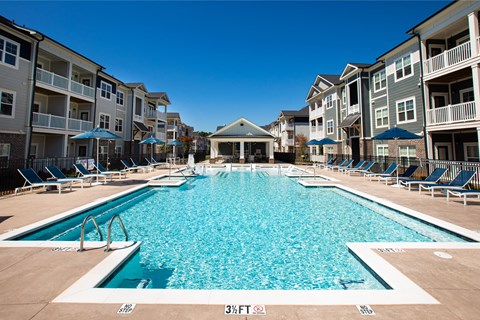 Waterleaf At Neely Ferry