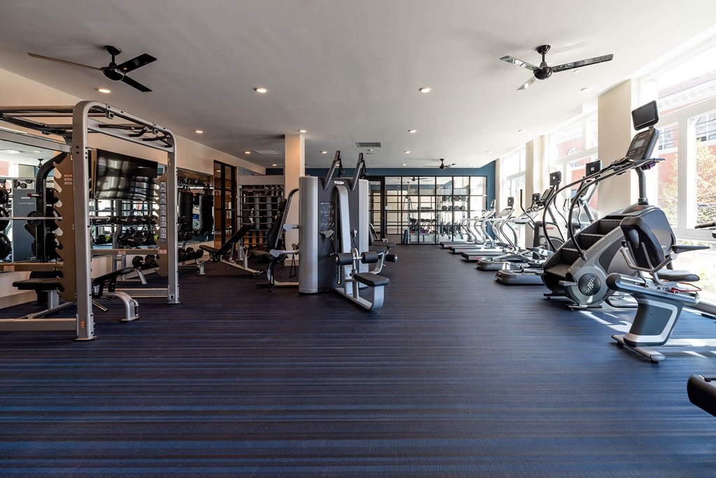 a gym with cardio equipment and glass windows