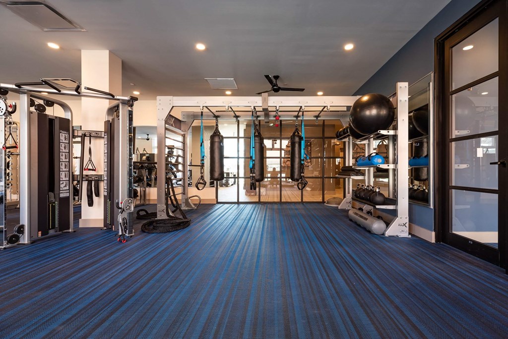 a gym with exercise equipment and a blue rug