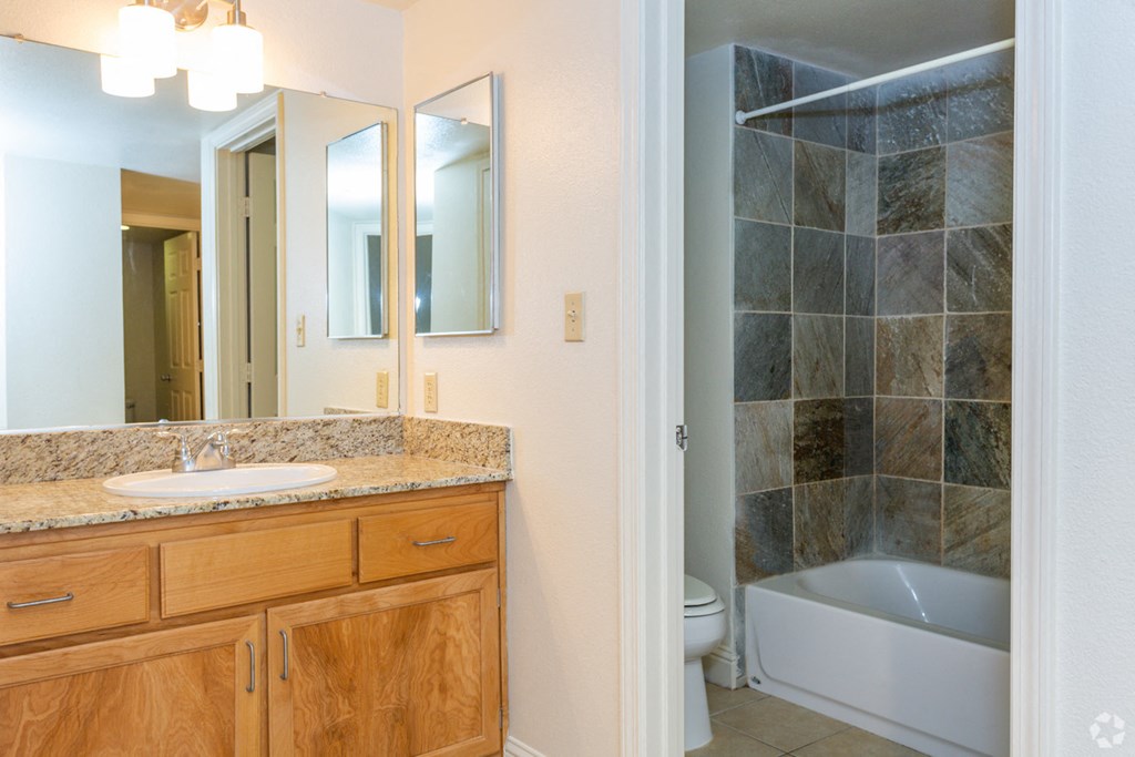 a bathroom with a sink and a shower and a toilet