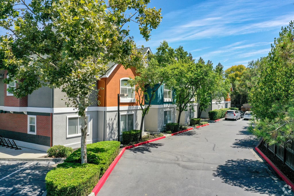 a tree lined street in front of a row of apartment buildings