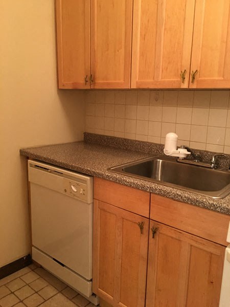 a small kitchen with a sink and a dishwasher