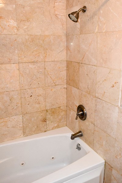 a bathroom with a shower and a bath tub