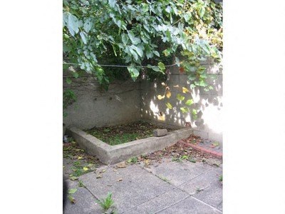 a cement planter with grass growing in it under a tree