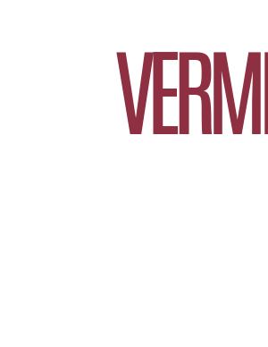 Vermilion / Navy