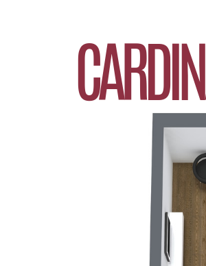 Cardinal / Mazarine