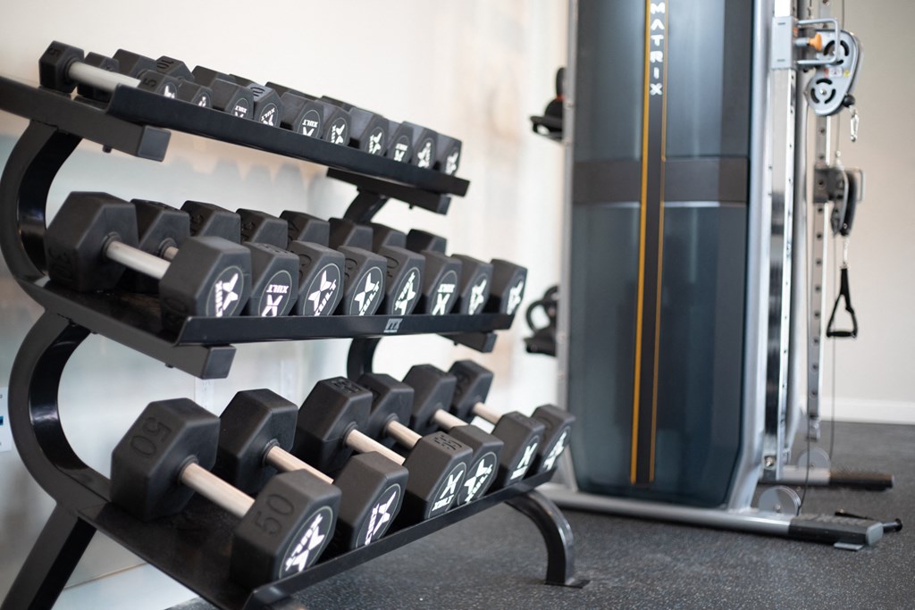 Free Weights at Scott's View, Richmond, VA, 23230