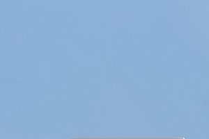 Photos Apartments for Rent Irving TX 801 LasCo