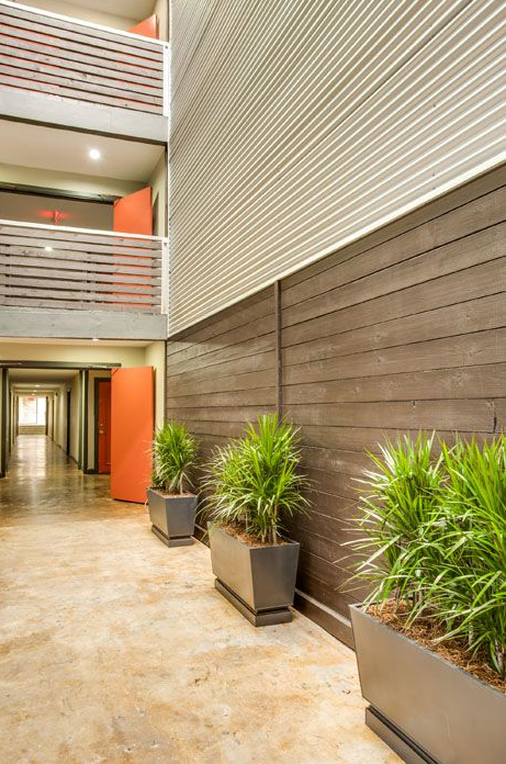 dallas tx apartments