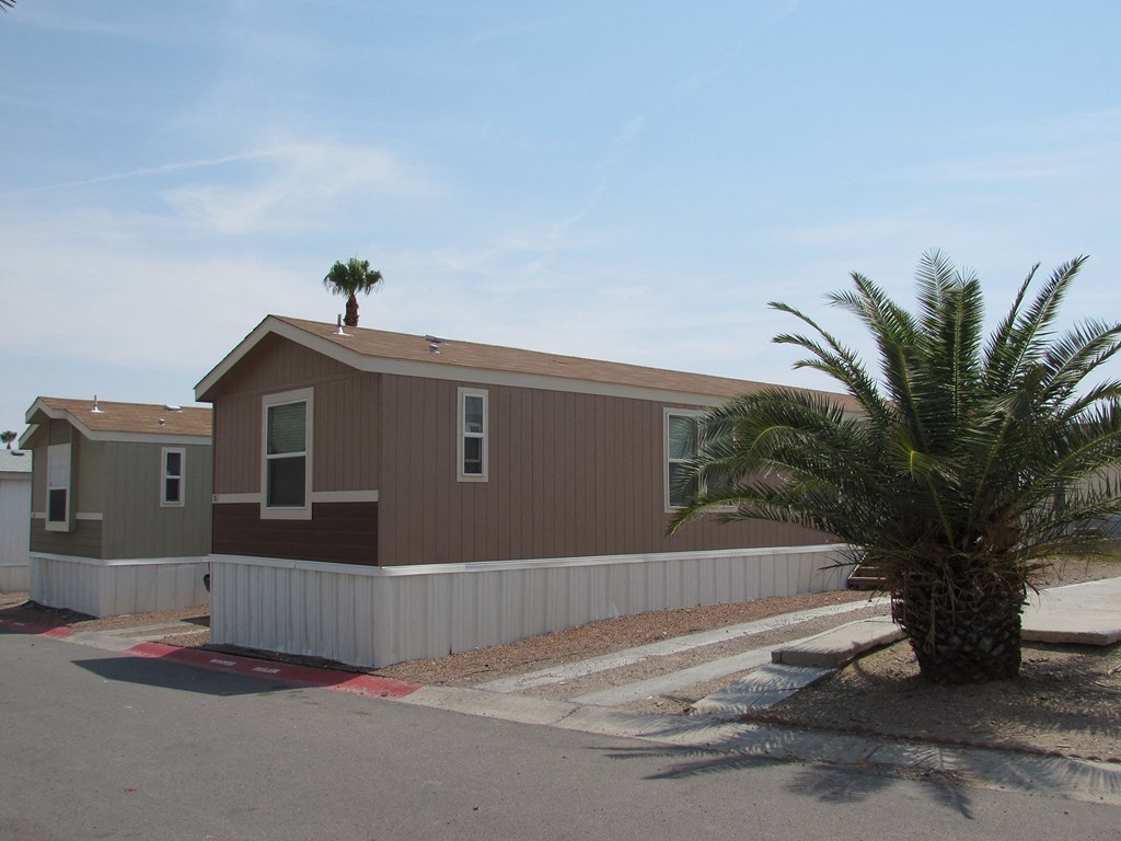 a home with a palm tree in front of it