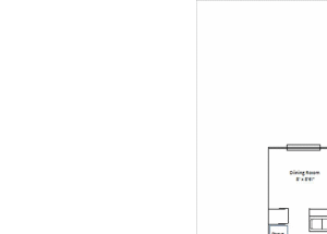 Plan C
