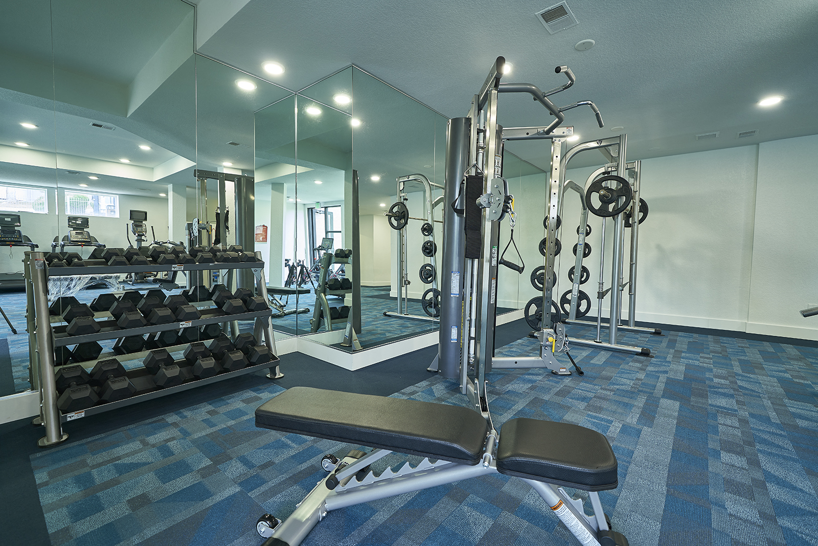 alvista gym in apartment building
