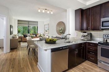 7787 Arundel Mills Blvd Studio-2 Beds Apartment for Rent - Photo Gallery 4