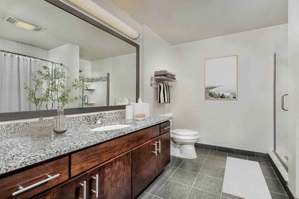 a bathroom with a sink and a toilet and a large mirror