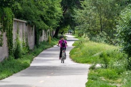 A person riding a bicycle on a paved path in a green, leafy area.