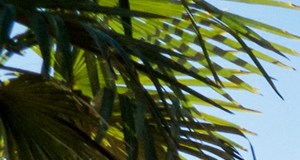 St Charles Place Apartments In Bossier City La