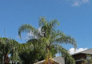 Affordable Storage 5014 N Us Highway 1 Fort Pierce Fl 34946 Yp Com