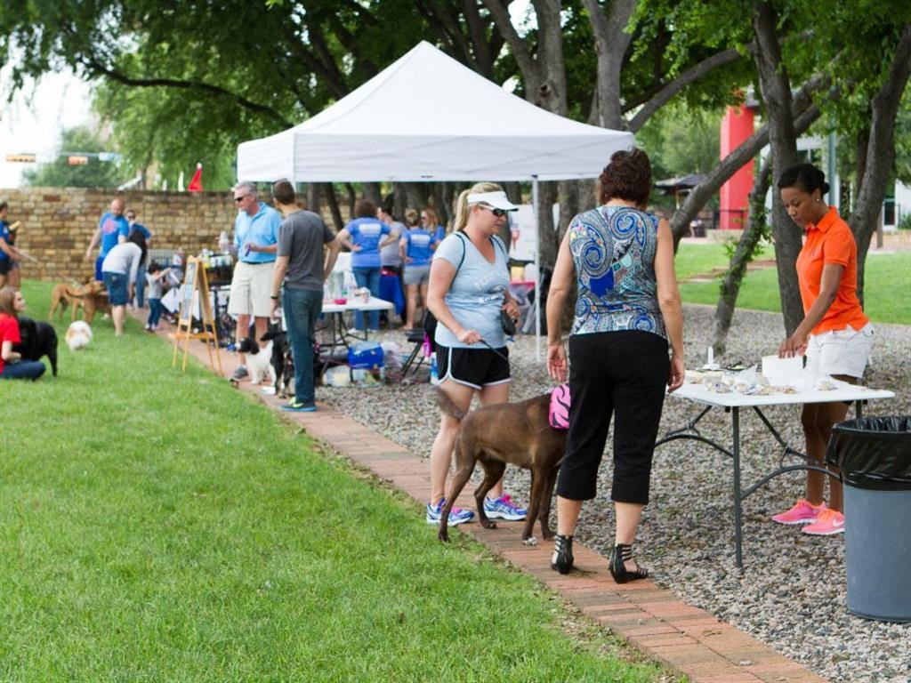 a group of people walking their dogs at a dog park