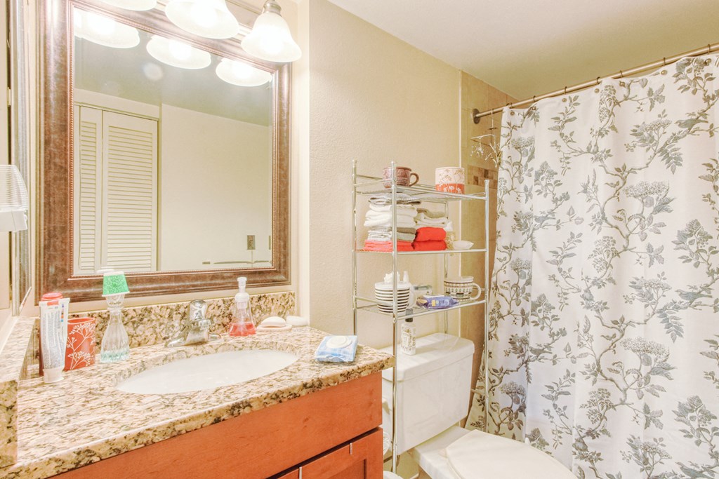 bathroom with large granite vanity, lighting, toilet, and shower