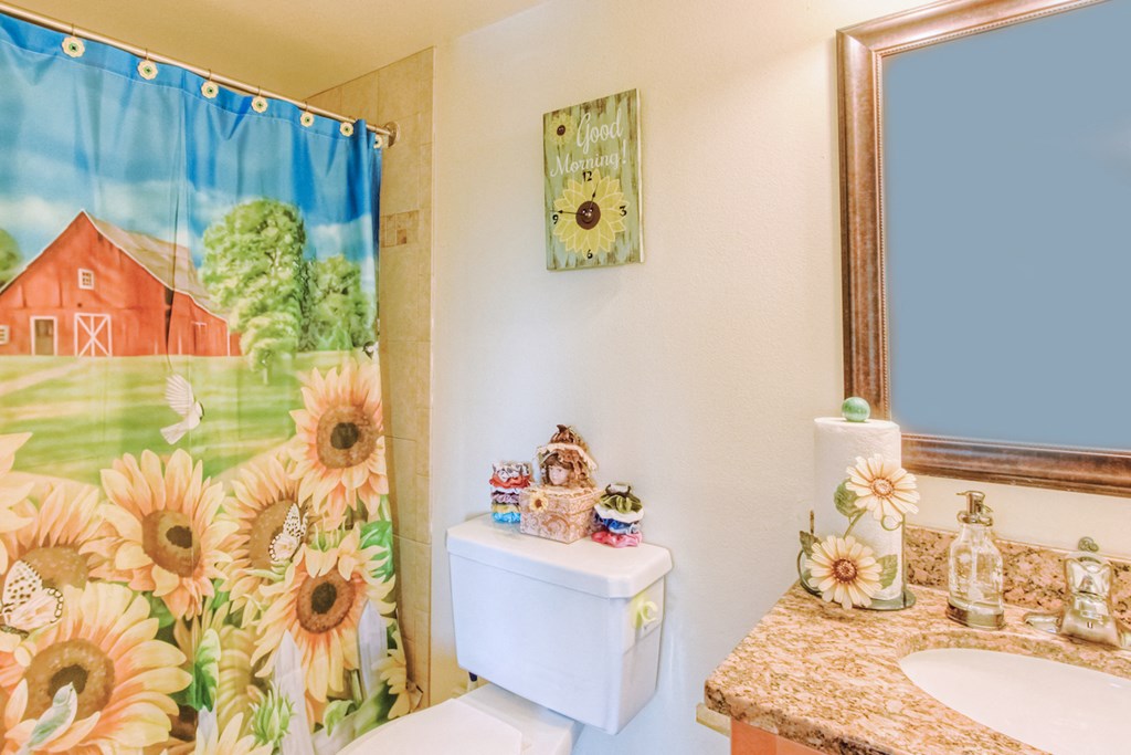 bathroom with toilet, granite vanity, and shower with colorful shower curtain