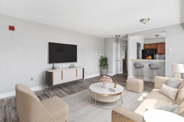 a living room with a couch and a coffee table and a television