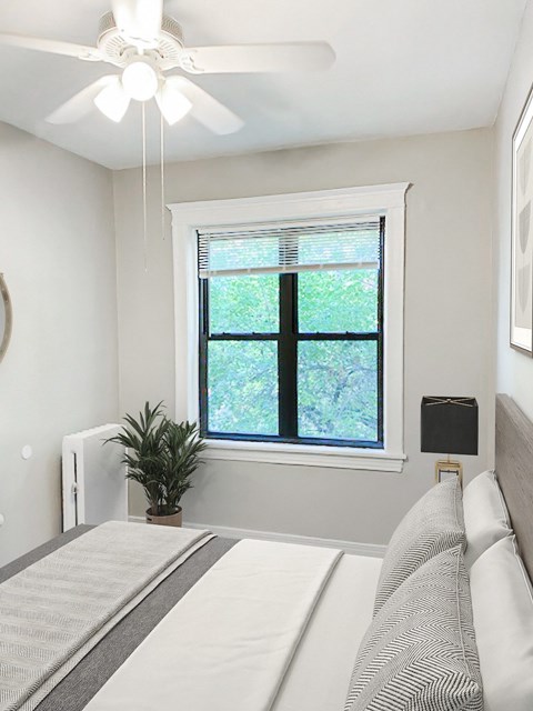 A bedroom with a bed, a ceiling fan, and a window with a plant on the windowsill.