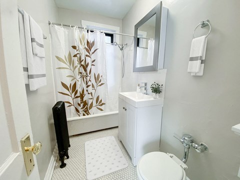 A bathroom with a white toilet, sink, and shower curtain.