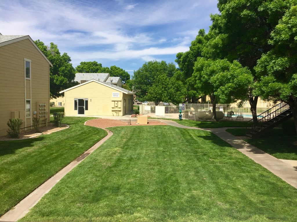 the backyard of a home with a yard and a fence and some trees