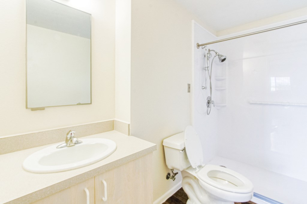 residential bathroom with sink vanity, toilet, and shower with grab bars