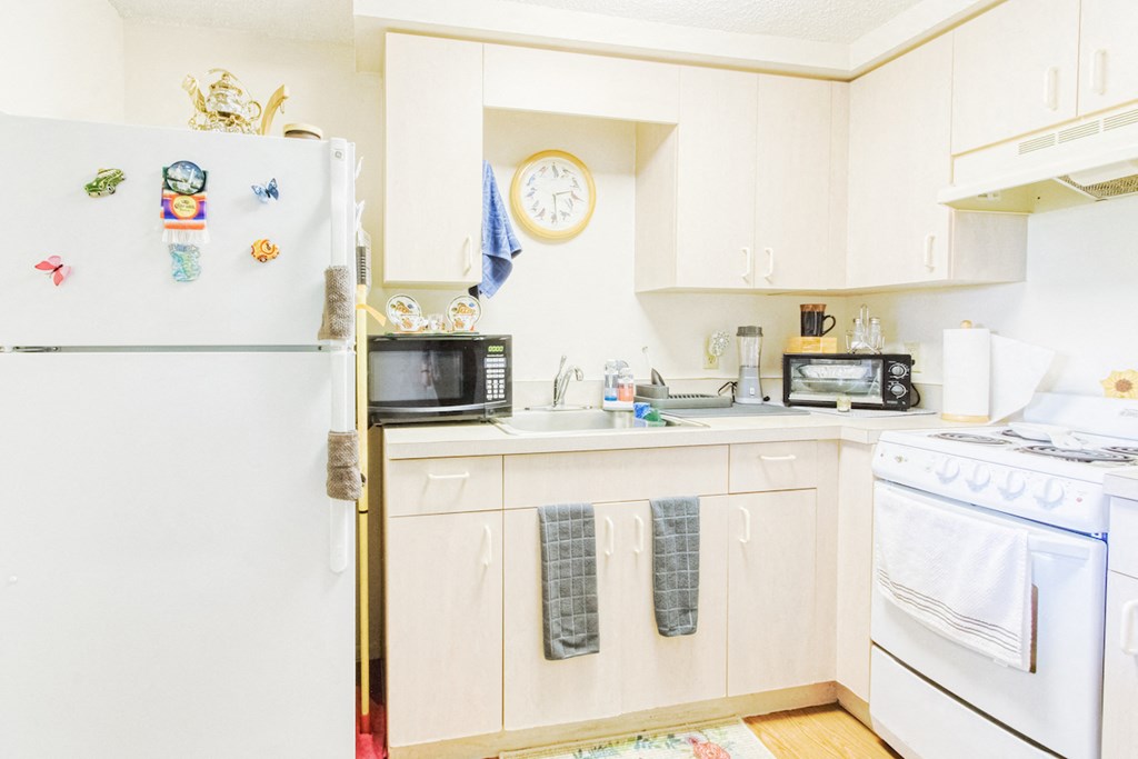 Model kitchen with appliances, cabinets, and decor