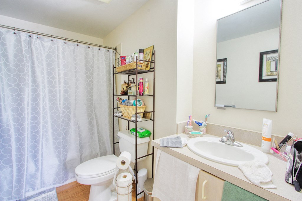 model bathroom with vanity, mirror, shower, toilet, lighting