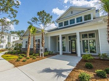 Bluewater Office Entrance. Palm trees, light exterior and concrete pathway.