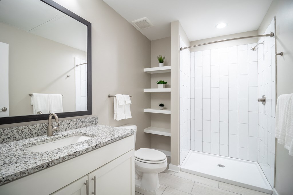 a bathroom with a shower toilet and sink and a mirror