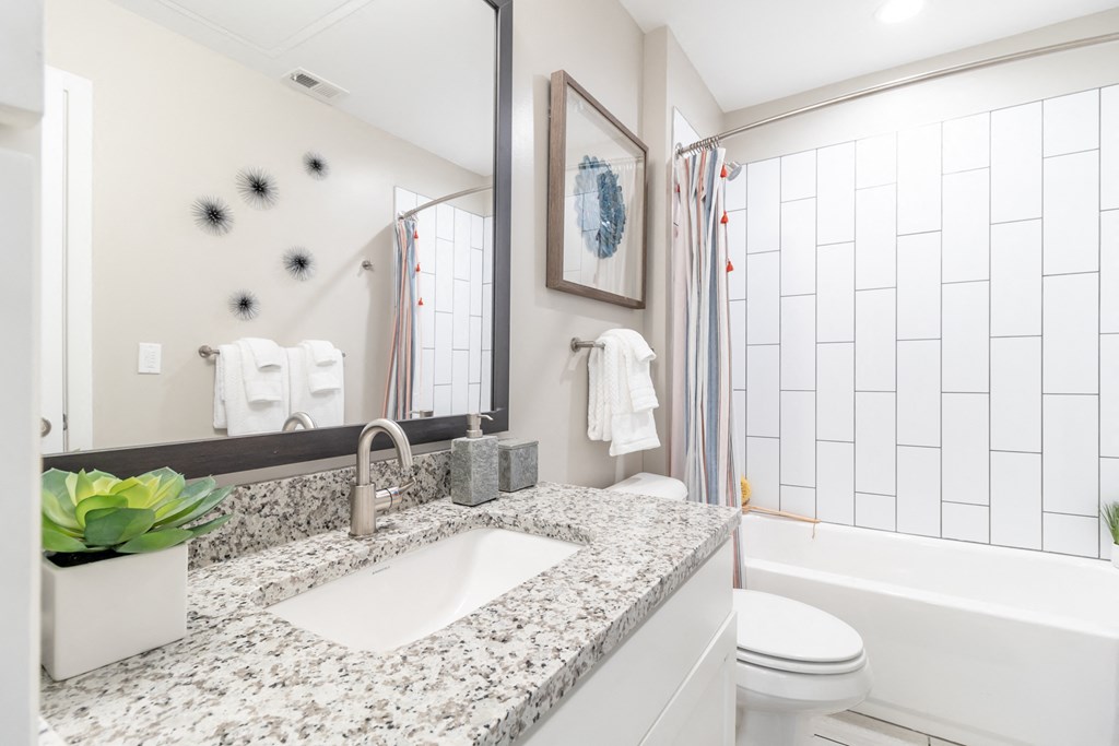 a bathroom with a sink and a toilet and a shower