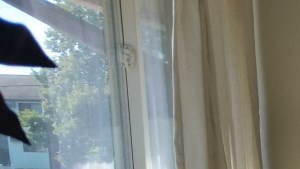 Apartments for Rent in Iowa City | Seville