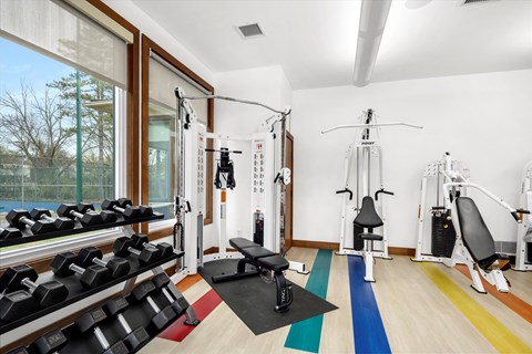 the gym is stocked with weights and cardio equipment