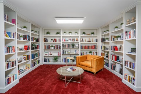 a library with a red carpet and a yellow chair