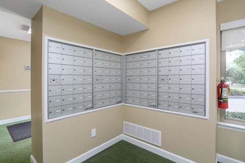 a laundry room with a wall of closets and a window