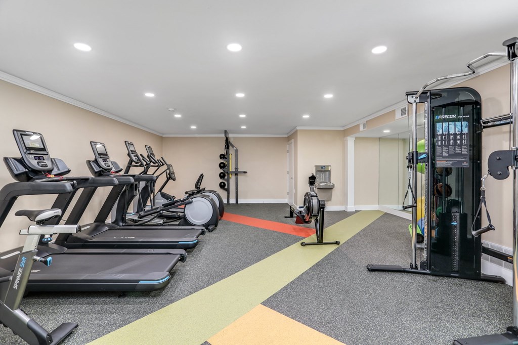 a gym with cardio equipment and weights on the floor