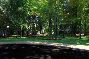 21900 Farmington Road Studio-2 Beds Apartment for Rent - Photo Gallery 3