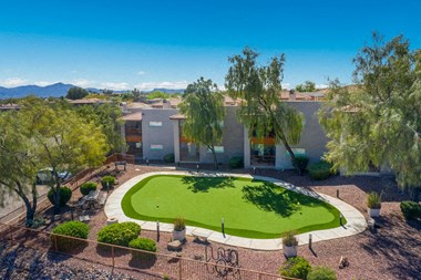 10950 North Lacanada 1-3 Beds Apartment for Rent