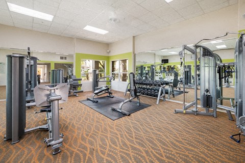 a gym with weights and cardio equipment in a building with green walls