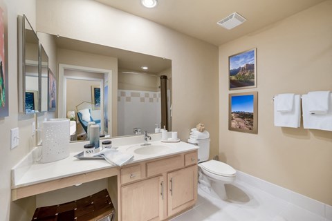 a bathroom with a sink and a toilet and a mirror