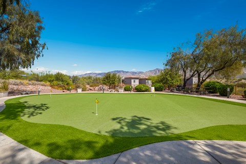 a putting green with a house in the background