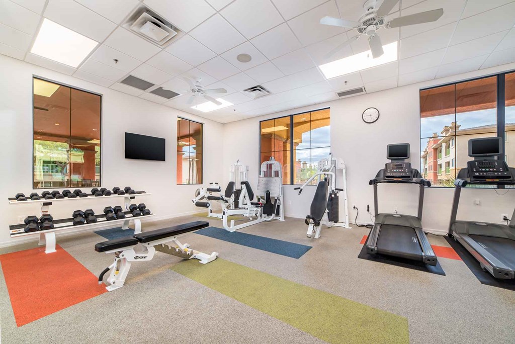 a gym with weights and cardio equipment in a room with windows