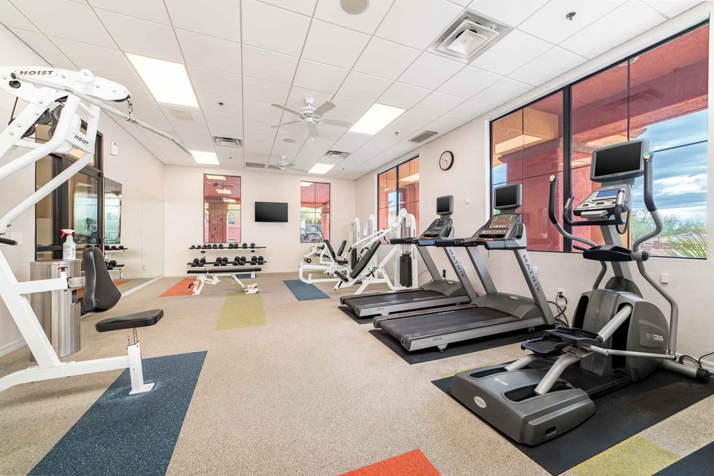 a gym with treadmills and weights in a room with windows