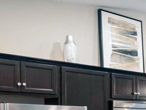 Macomb MI Apartment Rentals Redwood Sycamore Glen Kitchen - Photo Gallery